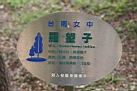 960618 219.jpg